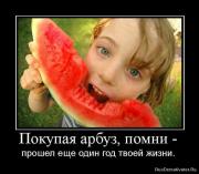 Прикрепленное изображение: 1276182753_524302_pokupaya_arbuz_pomni_.jpg