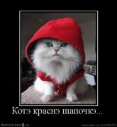 Прикрепленное изображение: 1263732809_tmpqegxwp.jpeg.jpg