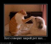 Прикрепленное изображение: 1263732934_tmp47l6rj.jpeg.jpg