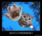 Прикрепленное изображение: 1276183922_qoa5o42y5xdy.jpg