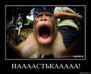 Прикрепленное изображение: 7ihl1amp7sp0.jpg