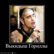 Прикрепленное изображение: 1263637024_194471_vyikidyish_gorillyi.jpg