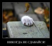 Прикрепленное изображение: aqku73cd1d9k.jpg