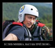 Прикрепленное изображение: 1wu6v2wdw9s7.jpg