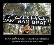 Прикрепленное изображение: mgd9r8uwbkvv.jpg