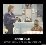 Прикрепленное изображение: 0c8xx42s6986.jpg