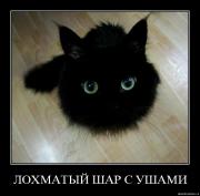 Прикрепленное изображение: ask15l2xura6.jpg