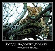 Прикрепленное изображение: 1276625665_9rqlv777vw9d.jpg