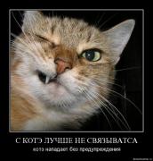 Прикрепленное изображение: c6trtbdzsx3f.jpg