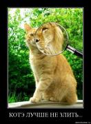 Прикрепленное изображение: xv65w3be8wh5.jpg