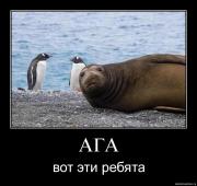 Прикрепленное изображение: y1qhw1sxpg1e.jpg