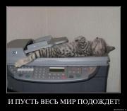 Прикрепленное изображение: 12p1qgmzv4rw.jpg