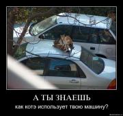 Прикрепленное изображение: jbaalmvq3kx6.jpg