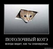 Прикрепленное изображение: up7oumzkvjqr.jpg