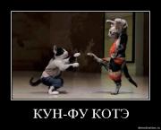 Прикрепленное изображение: jph4mq61qjxa.jpg