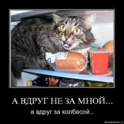 Прикрепленное изображение: jhhjysafagel.jpg