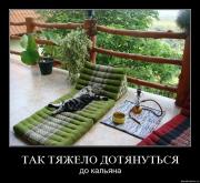 Прикрепленное изображение: uonv6hbyge5s.jpg