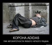 Прикрепленное изображение: 2yt7xoiqut2w.jpg