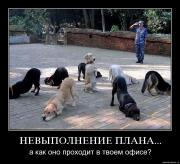 Прикрепленное изображение: 9g00m99qkr26.jpg