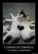 Прикрепленное изображение: lisr5u5ytuqd.jpg