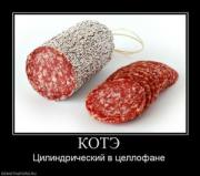 Прикрепленное изображение: 168663_kote.thumbnail.jpg