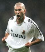 Прикрепленное изображение: zidan2242006.jpg