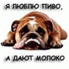 Прикрепленное изображение: 7cadd055b13e8a90b50b32e75aa45169.gif