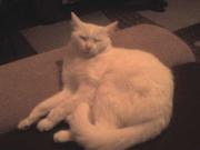 Прикрепленное изображение: DSC00158.JPG
