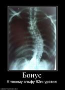 Прикрепленное изображение: 649810_bonus.jpg