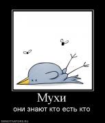 Прикрепленное изображение: 695742_muhi.jpg
