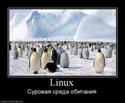 Прикрепленное изображение: 91820_linux.jpg