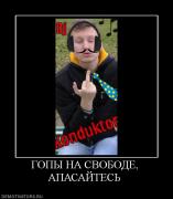 Прикрепленное изображение: 488154_gopyi_na_svobode_apasajtes.jpg