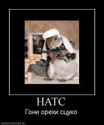 Прикрепленное изображение: 761912_nats.jpg