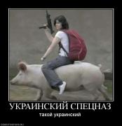 Прикрепленное изображение: 160755_ukrainskij_spetsnaz.jpg