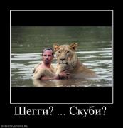 Прикрепленное изображение: 332700_sheggi__skubi.jpg