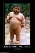 Прикрепленное изображение: 366549_letnie_shinyi_michelin.jpg