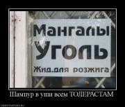 Прикрепленное изображение: 579932_shampur_v_ushi_vsem_tolerastam.jpg