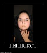 Прикрепленное изображение: 717256_gipnokot.jpg