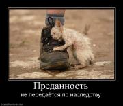 Прикрепленное изображение: 655418_predannost.jpg