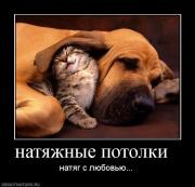 Прикрепленное изображение: 89972_natyazhnyie_potolki_.jpg