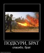 Прикрепленное изображение: 301992_podkuri_brat.jpg