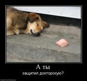 Прикрепленное изображение: 710711_a_tyi.jpg