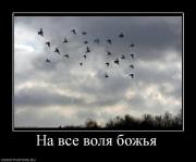 Прикрепленное изображение: 307482_na_vse_volya_bozhya.jpg