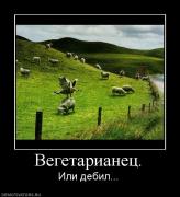 Прикрепленное изображение: 453241_vegetarianets.jpg
