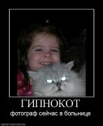 Прикрепленное изображение: 885143_gipnokot.jpg