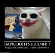 Прикрепленное изображение: 928525_varyuvontukilmi.jpg