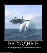 Прикрепленное изображение: 832014_vyihodnyie.jpg