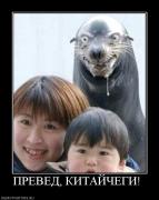 Прикрепленное изображение: 313441_preved_kitajchegi_.jpg