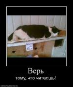 Прикрепленное изображение: 475517_ver.jpg