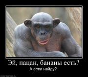 Прикрепленное изображение: 99432_ej_patsan_bananyi_est.jpg